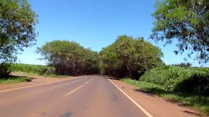 Alberdi, altos, areguá, asuncion, bella vista, caacupé, caaguazú district, caazapá Tunel Verde De Santa Rita Alto Parana Paraguay Youtube