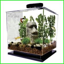 Akuarium Ikan Cupang Surabaya Ikan Cupang Dalam Satu Akuarium Jual Aquarium Ikan Cupang Surabaya Ikan Cupang Satu Aquar Aquarium Ikan Tank Betta Ikan Cupang