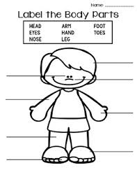 We share the following free pdf worksheet. Ell Esl Body Parts Flashcards Worksheets Ell Esl Resources