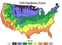 54 Logical Plant Growing Zone Chart