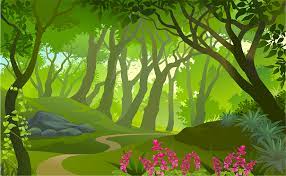i m on my way i don t know where i m going forest illustration landscape illustration jungle drawing