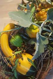 Altholz holz deko herbst natur pilz set stellen herbst dekor diy. Tischdekoration Mit Einer Rinde Selber Machen Blumen Flora Line