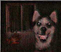 Smile dog | love wins!🌈 :3🌹. Creepypasta Stories