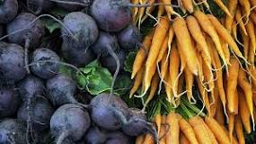 Image result