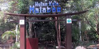 Hasil gambar untuk hutan malabar malang