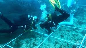 Researchers find 2,400-year-old ship graveyard in the Bay of Gibraltar |  Fox Weather