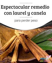 Espectacular Remedio Con Laurel Y Canela Para Perder Peso Te De Canela Y Laurel Te Para Bajar De Peso Y Infusion De Canela