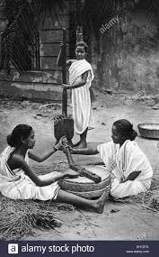 Image result for black cobra with sweet girl