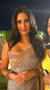 Katrina Kaif looks glam as she attends wedding in Jodhpur, see her other  drop-dead gorgeous sarees | Zoom TV