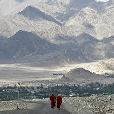 Sometimes you can replace phrase camel back with humpback, this terms are similar. Ladakh S Bactrian Camels Saved From Extinction By Tourist Safaris Quartz India