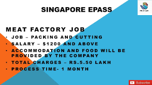 Singapore Epass Available Now Good Salary Provided Job In Hand Job Singapore Salary