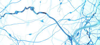 Download & view schizophrenia concept map as pdf for free. New Approach To Lessen Negative Symptoms In Schizophrenia Is Based On Brain Circuit Discovery Brain Behavior Research Foundation