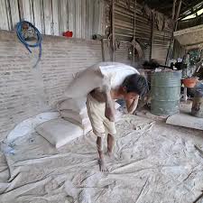 PAKAN KERING AMPAS TELLO KERING PONGKOL TELLO TEPUNG KERICILLAN GARAM  #petani #indonesia #pakanternak #lokerdokterhewan #qurban #pupukorganik  #ternakunggas #ternakkambing #fakultaspeternakan #smk ...