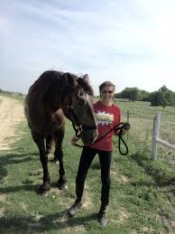 My Cousins Horse A Gourgous 17 5 Hands Horses Animals Photoshoot
