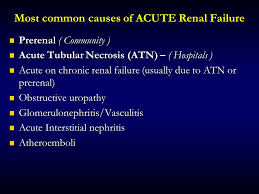 Chronic renal failure results from a number of conditions, which cause slow deterioration in renal function. Renal Failure Ppt Download