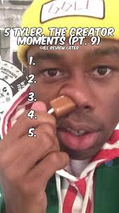 Me Ruining The Vibe for New Tyler Fans