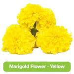 Also known as signet marigold. Buy Marigold Flowers Online At The Best Price Bigbasket Com