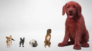 Based on the legendary true story of the red dog who united a disparate local community while roaming the australian outback in search of his long lost master. Clifford The Big Red Dog 2021 Imdb