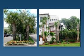 Hardy services group, llc, eden tree service, island landscaping and lawn service, llc, ace handyman services of central charleston, feria. Test Charleston Landscape Design Landscape Design Mount Pleasant Dig Designing Innovative Gardens