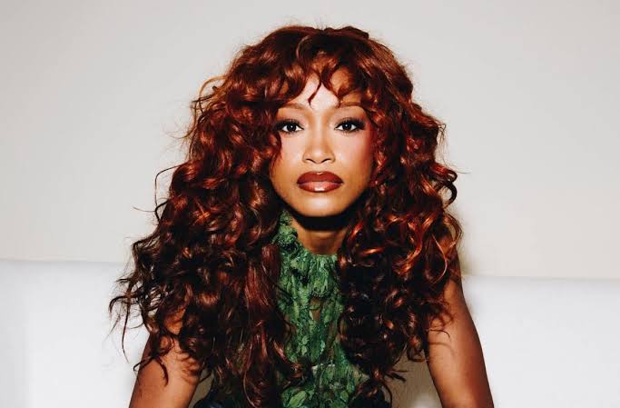 The Voice Season 31 Introduces Celebrity Contestants and New Host Keke  Palmer