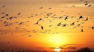 Coldplay Fly On Traduzione In Italiano Youtube