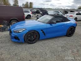 Image result for Misano Blue 2022 Z4