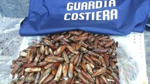 Nei lunghi decenni in cui la pesca dei datteri di mare era legale, è avvenuto un vero e proprio disastro ambientale: 24zampe Il Traffico Di Datteri Di Mare Al Centro Di Un Inchiesta Di Report