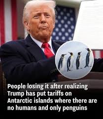 Let's welcome our new members: Pete Chimera, William Stubbs, Andrea  Beswick-Soloe, Karen Curley, Connie Bradley, Tawnya Rockett McClurkin, Gina  Chang, Cheryl Kelleher, Margie Marshall, Bob Branchcomb, Lori Zuber  Shipman, Mary Taylor Durbin,