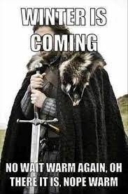 Pin By Will James On Humor Halloween Memes Memes Teachers Halloween