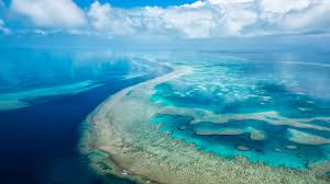 Start your search now and free your phone. 15 Nature Tropical Pc Wallpaper 4k Basty Wallpaper