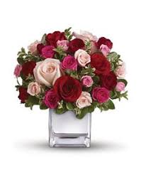 Send flowers to australia from south africa. Flowers Australia Netflorist