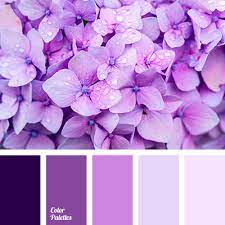 Flower purple violet color palette. Color Palette 4012 Color Palette Ideas