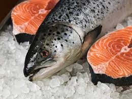 I have purchased numerous brands of salmon oil, as our family includes a retriever, two irish wolfhounds, and two cats. Can Cats Eat Salmon Health Benefits And Potential Side Effects