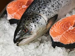 Can cats eat the raw salmon skin? Can Cats Eat Salmon Health Benefits And Potential Side Effects