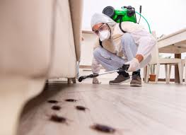 Residential pest control treatment
