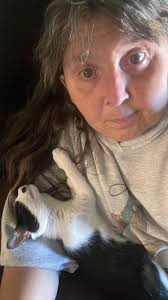 Border collie as a pet