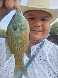 What do you call the hooks that have an extra eye