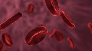 Konsep penurunan sifat gen thalasemia dan hemofilia (teori genetika mendel) ukmppd sistem hematologi. 7nd2ttswpiwjbm