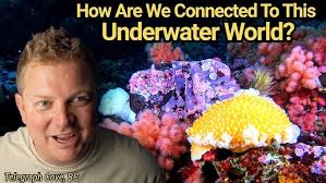 We Finally Found KINGS! Freediving for Puget Sound King Crab In BC.