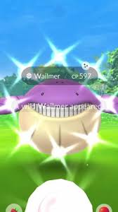 Shiny Wailord ( Wailmer Evolution ) Pokemon Trade Go | Ebay