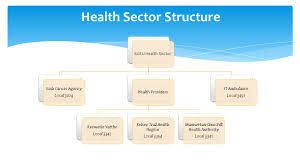 Health Sector