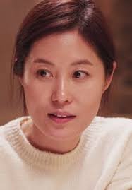 The Spy: Undercover Operation (2013)