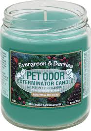Each candle comes in a glass jar, will burn for roughly 70 hours, and comes in fragrances like cider apple and mango peach. Pet Odor Exterminator Candle Evergreen Berries Pet Odors Candles Pet Odor Remover