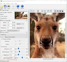 Mar 30, 2021 · franzis photozoom activation. Giveaway Franzis Photozoom Classic License Key For Free