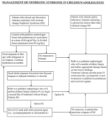 Fig 2 Evaluation And Management Of Proteinuria And Nephrotic Syndrome In Children Recommendations From A Pediatric Nephrology Panel Established At The National Kidney Foundation Conference On Proteinuria Albuminuria Risk Assessment Detection