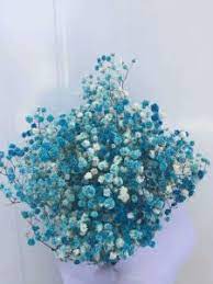 Baby breath flower in chinese. China Natural Preserved Baby Breath Flowers For Flower Gift Or Floral Project China Stabilized Gypsophila And Real Touch Flowers Price