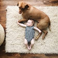 Kaitlin Green Dog Tumblr Dogs And Kids Animals For Kids