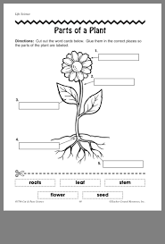 Pin By Jennifer Gress On Clover Bud Ideas Parts Of A Flower Plants Worksheets Parts Of A Plant