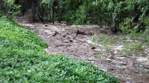 We did not find results for: Sycamore Creek Flash Flood 7 23 17 Youtube