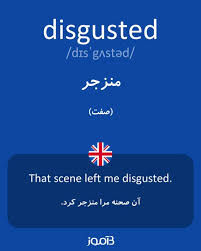 نتیجه جستجوی لغت [disgusted] در گوگل